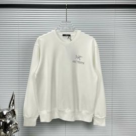 Picture of Arcteryx Sweatshirts _SKUArcteryxS-XXL17ctn1424449